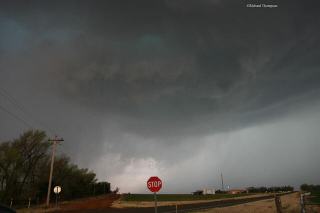 IMG 3523web