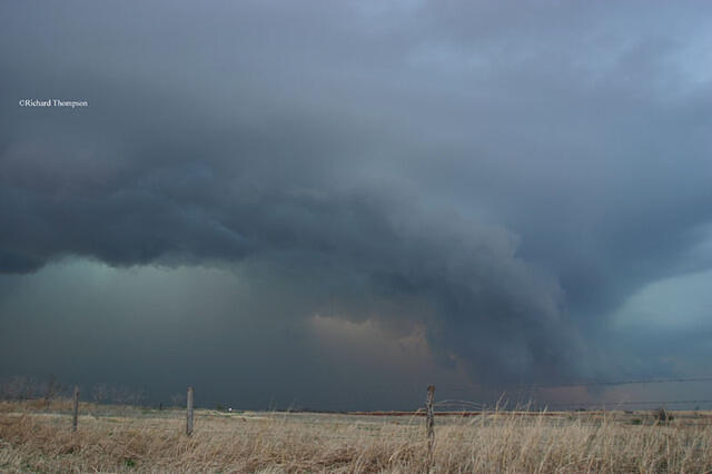 IMG 3537web