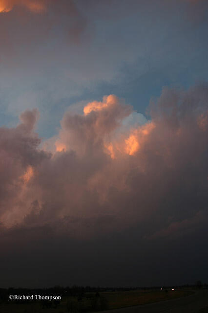IMG 3446web
