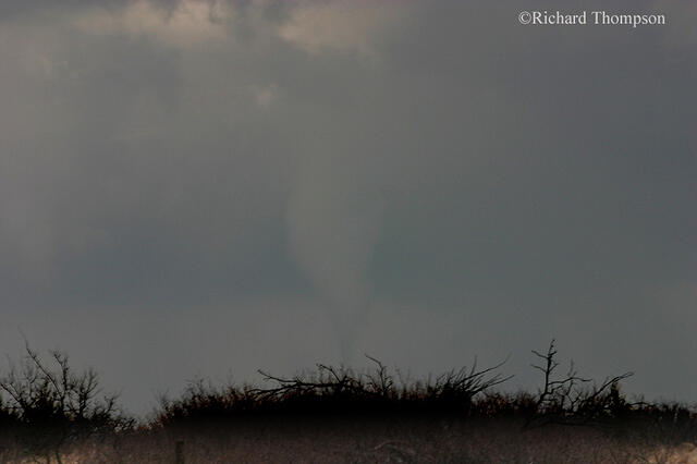 IMG 3509web