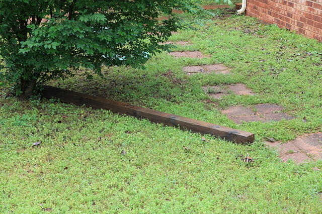 IMG 0943 small