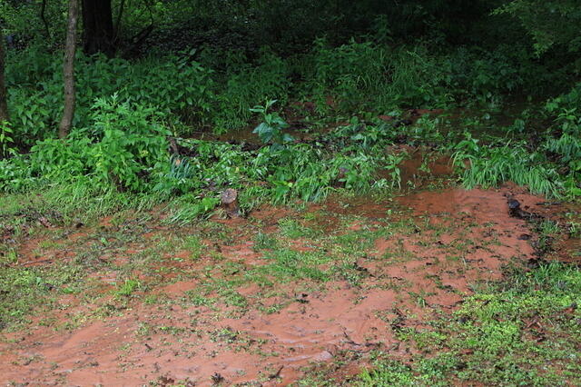 IMG 0944 small