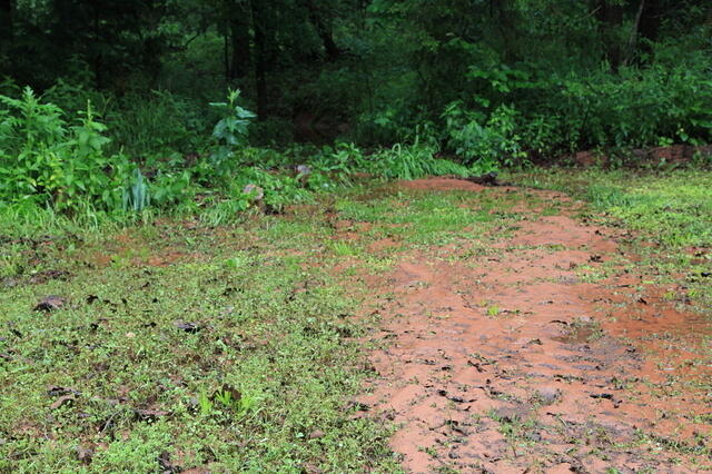 IMG 0945 small