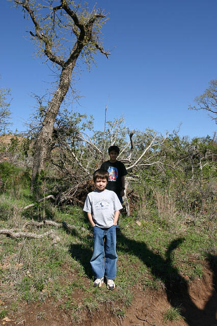 IMG 3765 small