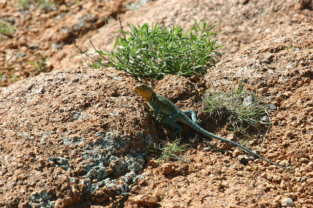 IMG 3779 small