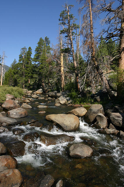 CRW 4700 JFR small