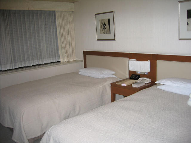 IMG 2041 small
