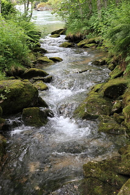 IMG 4824 small