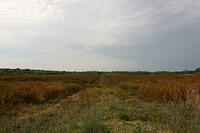 IMG 3644 small