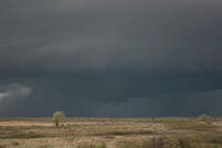 IMG 3759 small