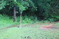 IMG 0886 small