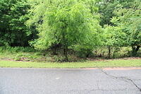 IMG 0889 small