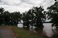 IMG 0918 small