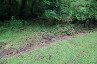 IMG 0941 small