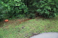 IMG 0942 small
