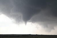 IMG 2220 small