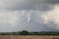 IMG 3118 small