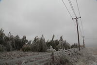 IMG 3222 small