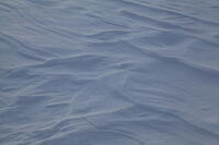 IMG 3338 small