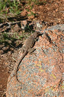 IMG 3788 small