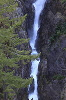 IMG 0270 small