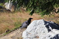 IMG 0286 small