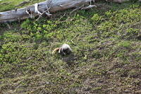 IMG 0352 small