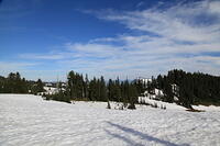 IMG 0361 small