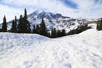 IMG 0365 small