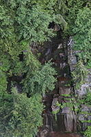 IMG 0389 small