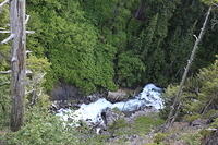 IMG 0391 small