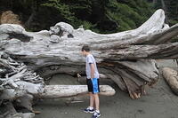 IMG 0448 small