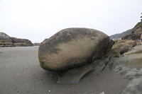 IMG 0449 small