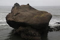 IMG 0452 small