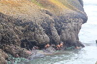 IMG 0456 small