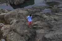 IMG 0464 small