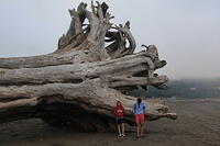 IMG 0482 small