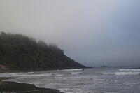 IMG 0485 small
