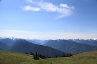 IMG 0495 small