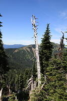 IMG 0523 small
