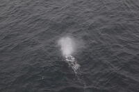 IMG 0556 small