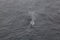 IMG 0559 small