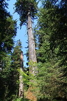 IMG 0576 small - Copy