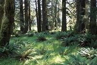 IMG 0582 small