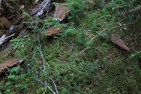 IMG 0587 small
