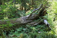 IMG 0591 small