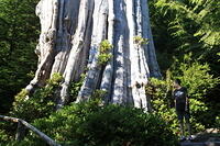 IMG 0667 small