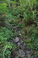 IMG 0672 small