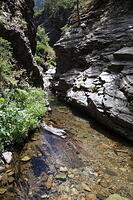 IMG 1168 small