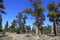 IMG 1624 small